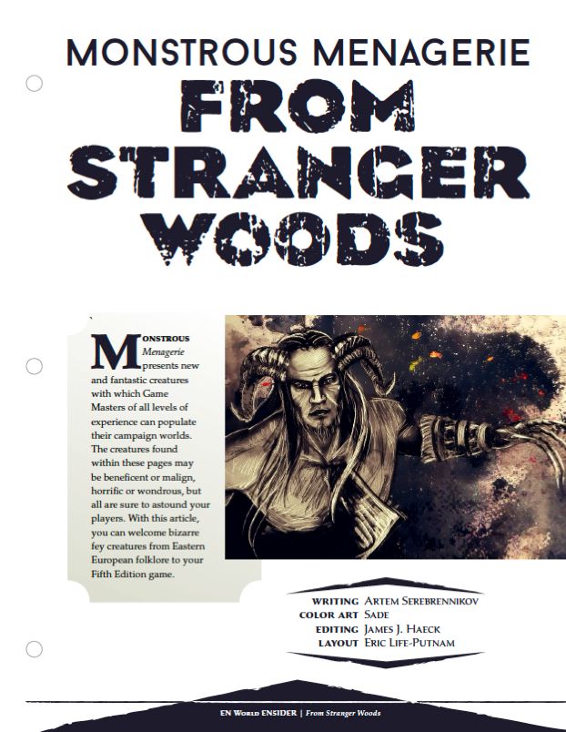 stranger in the woods book