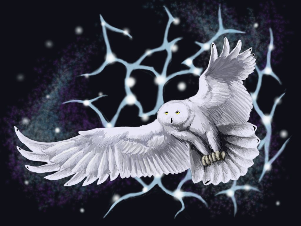 Spirit owl.jpg