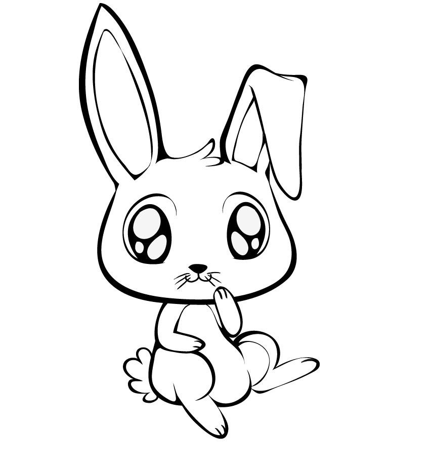 Cute Rabbit Telegraph